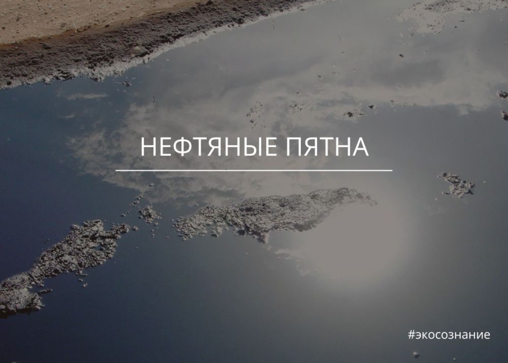 ������ ����� � ���������� ������