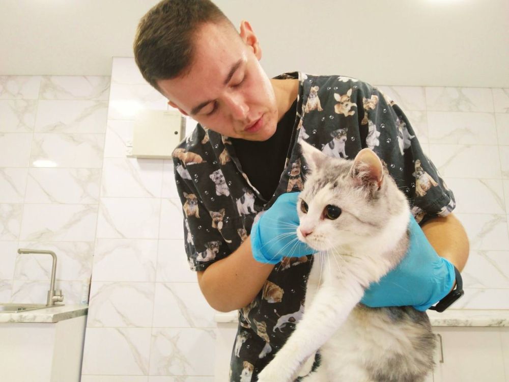 � ��� ������� �����������, ���������� ����� ������������ ������� �. ������� � �������� �������� � ������� �������