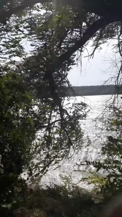 ����� �� ������������ ����