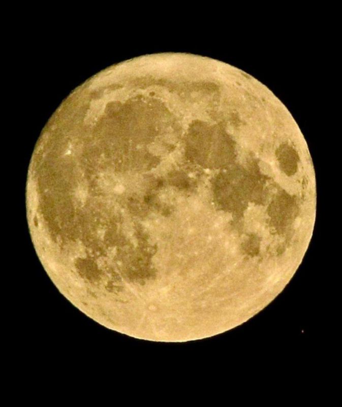 � �� ���� �������!. ����� ������� ���� � ������� ���� �� ��������