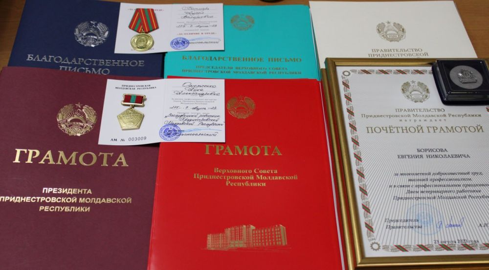 ����������� ������������ ����������