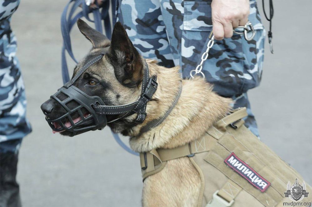 ������������ � ����������� ���. ����� ������������ ��� ���������� ������ ��� ������������, ������ ������������� ������� ����� �������