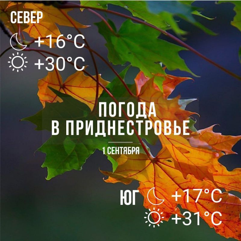 � ���� ������ � ����� ������ � �� +31�� �� ���, �� ������ ������ � �� ������