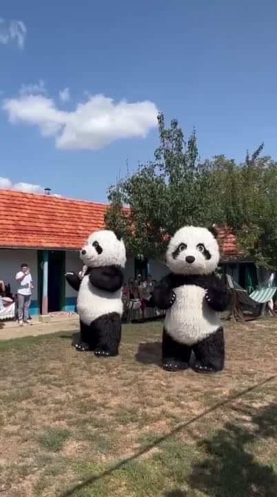 � ���� � �� �������, � ���� � � �����-��������