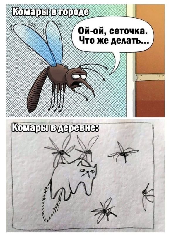 � ������� ����� ����� ���������� ������� ��������� ��������� ����, ������� ��������� ������