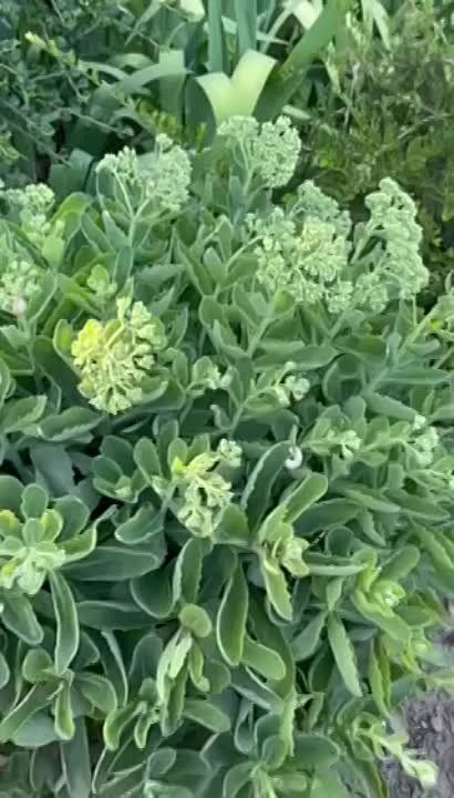 ����������� ������������ � 33-������ ���������� ����������� ��������������� ���������� ���������� ����������� � ��������� � ����� ���������������� ���� ����������, ���������� �����������!