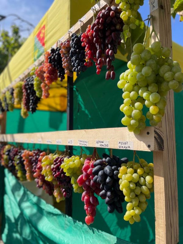 ����������� �� ��������� �������� ��������