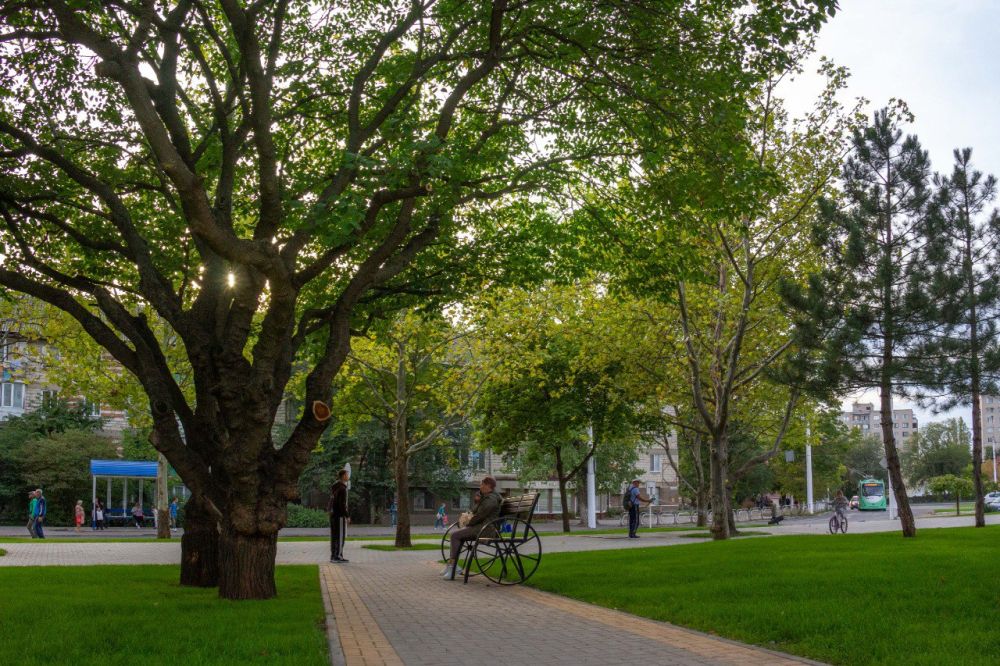 ������������ � �����������, ������ ���������, ������