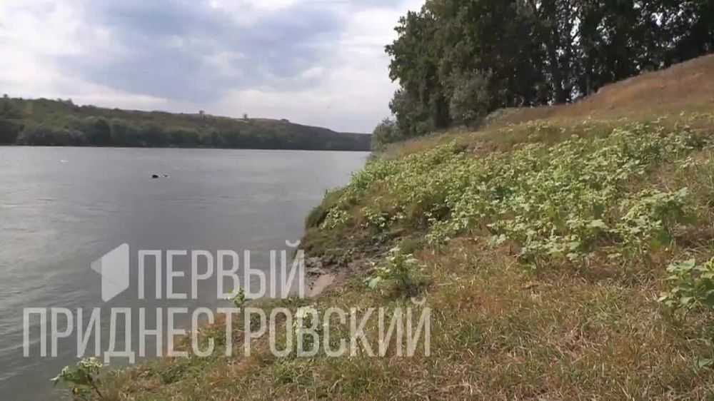 ����� �������: ��, ��-�����, ������. �������� � ����. � ������ �� ���