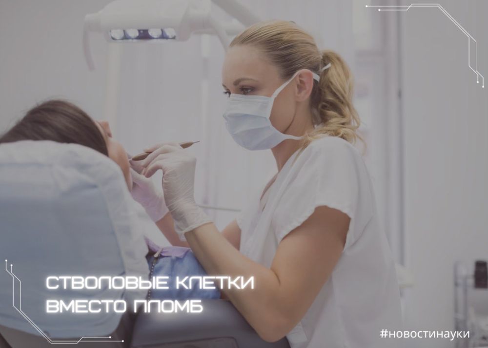 ������ ���������� ������ ������ ���������� �������� ������ �����