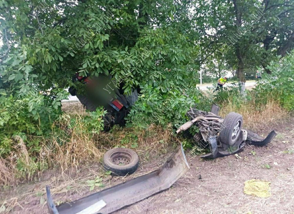 �������� ������ �� ������ � ������