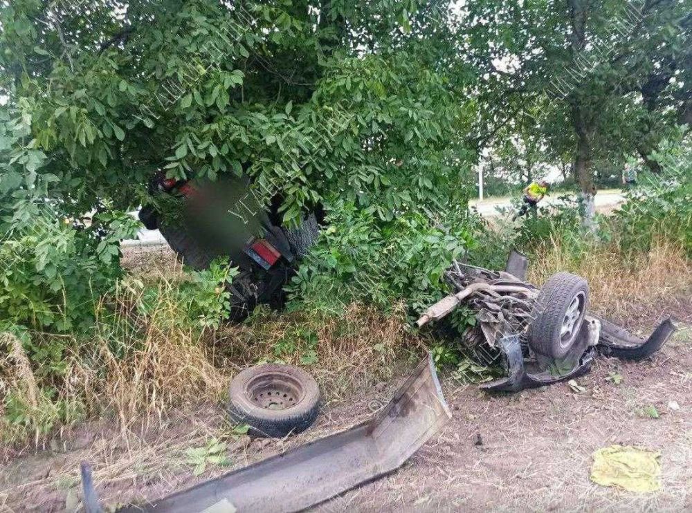 "�����" ��������� �� ����� �� ����� �� ����, ������� � 7 ���� ����� � ���������