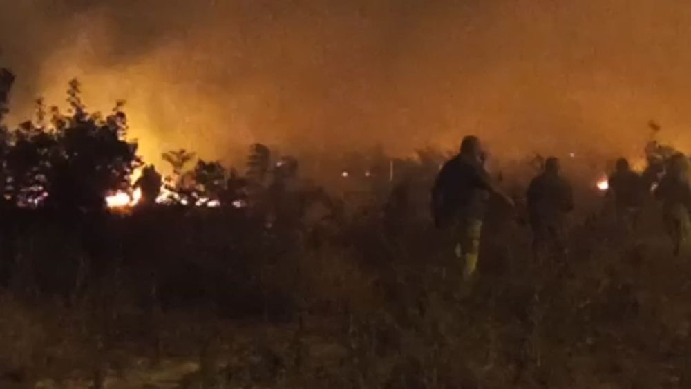 ������� ����������� ��������� ������ ����� �������