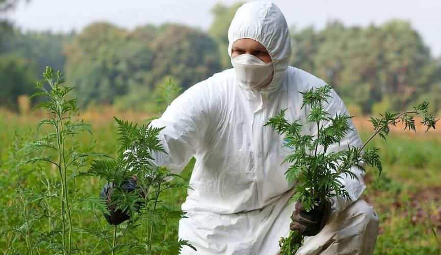 ������������ ��������� ������ �������� �� �������������������� ������