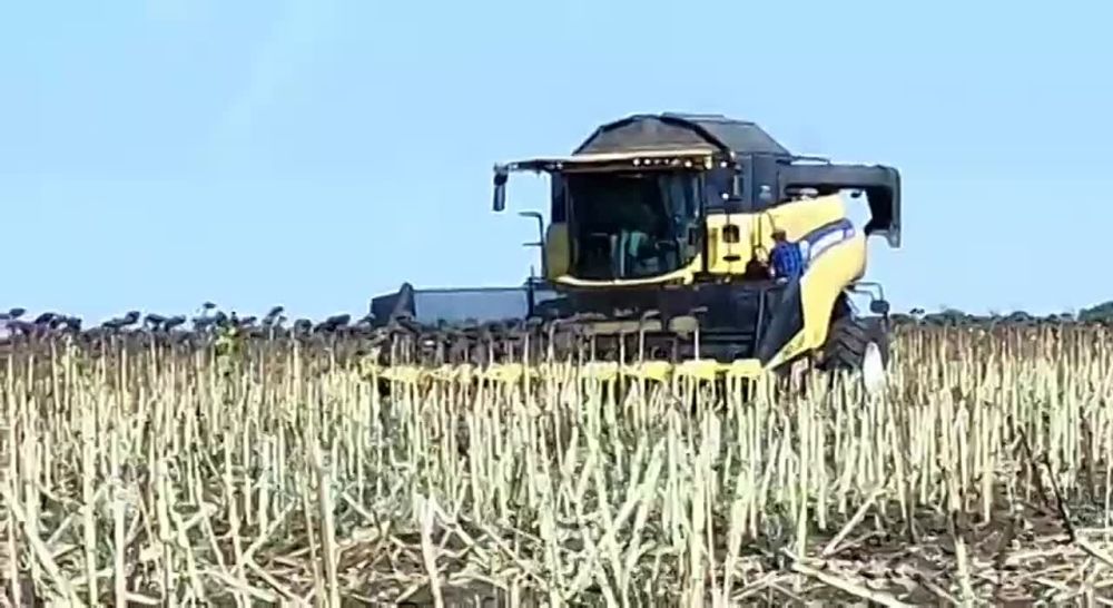 ���� ������ � ������, � ������!