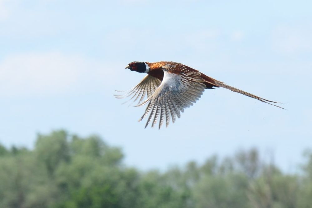 �� �����, ��� ������, ����� � ����� ������ �� ������ �������� �� ���������� �������������?