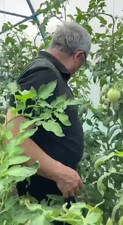 � �������� �������� ������ �������