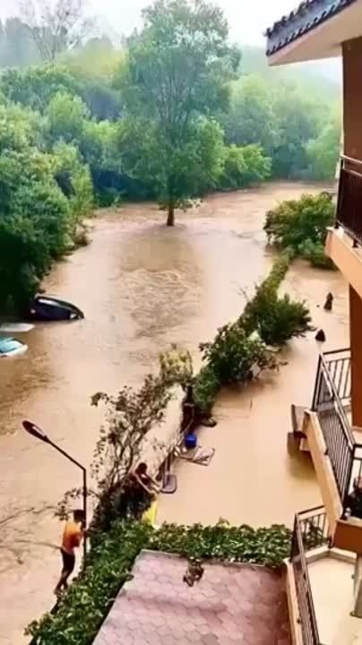 ��������� ��������� ��������