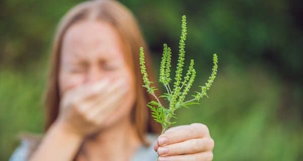 �������� ����������������� ���������� ������������ ��������� �������� � ����� ���������� ���������������������� ��� �� ������, ������������� ���������� � �������������� ��������������� ��������, �������� �����-������ ����������� ���������