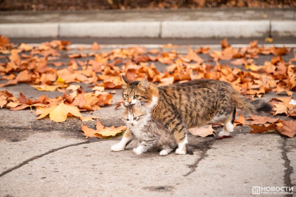 ����� � �����. � ��� �� ���������� ������� ����� � ������ ������� ����?