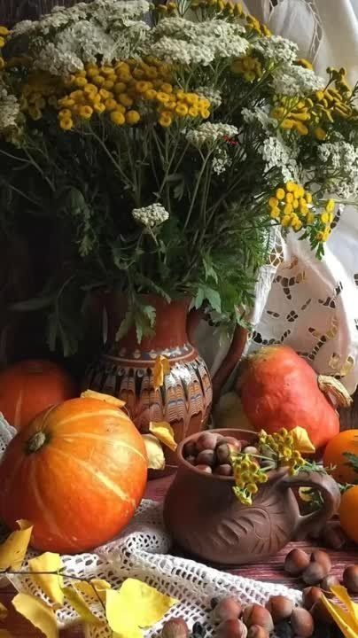 ������ ����!