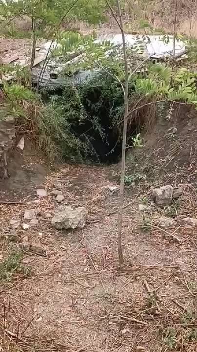 � ���������� ���� ����� (10 �� �� ������) ���������� ��������� �������� ������������� ������������