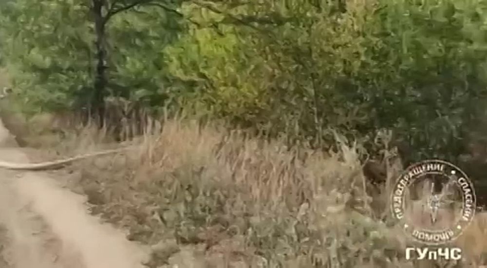 �� ����� � �������� ����� - ����� ����� �����