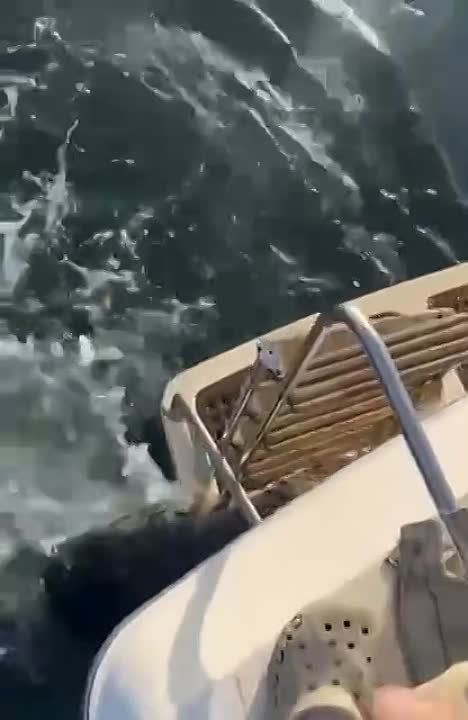 �� �������� ����� ���������� � ����� � �������� �� �������