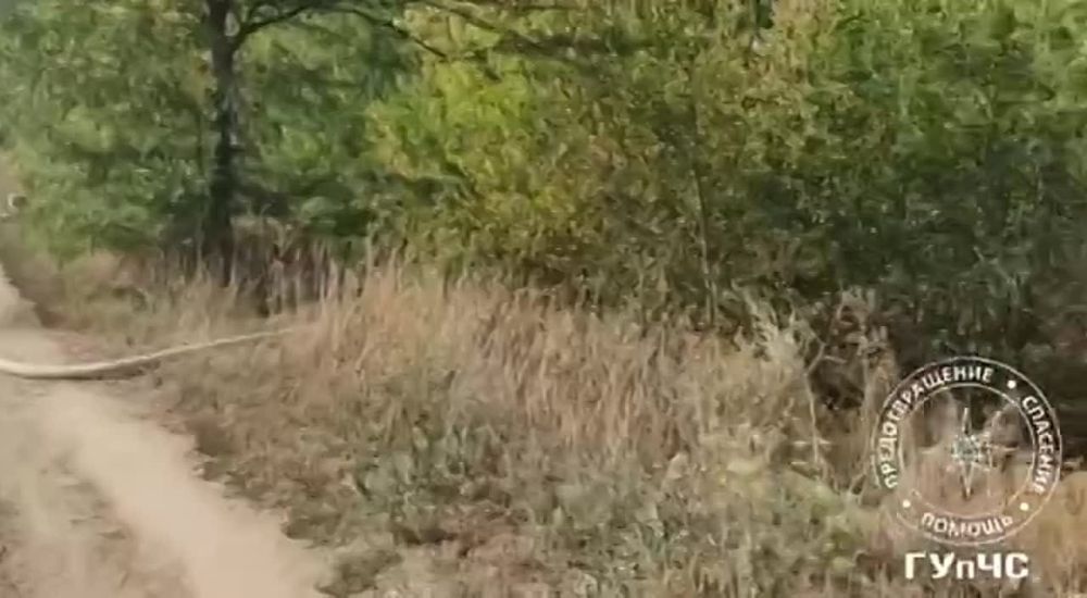 ����� ������ � �������� � ������� ����� ����� � ������� �������