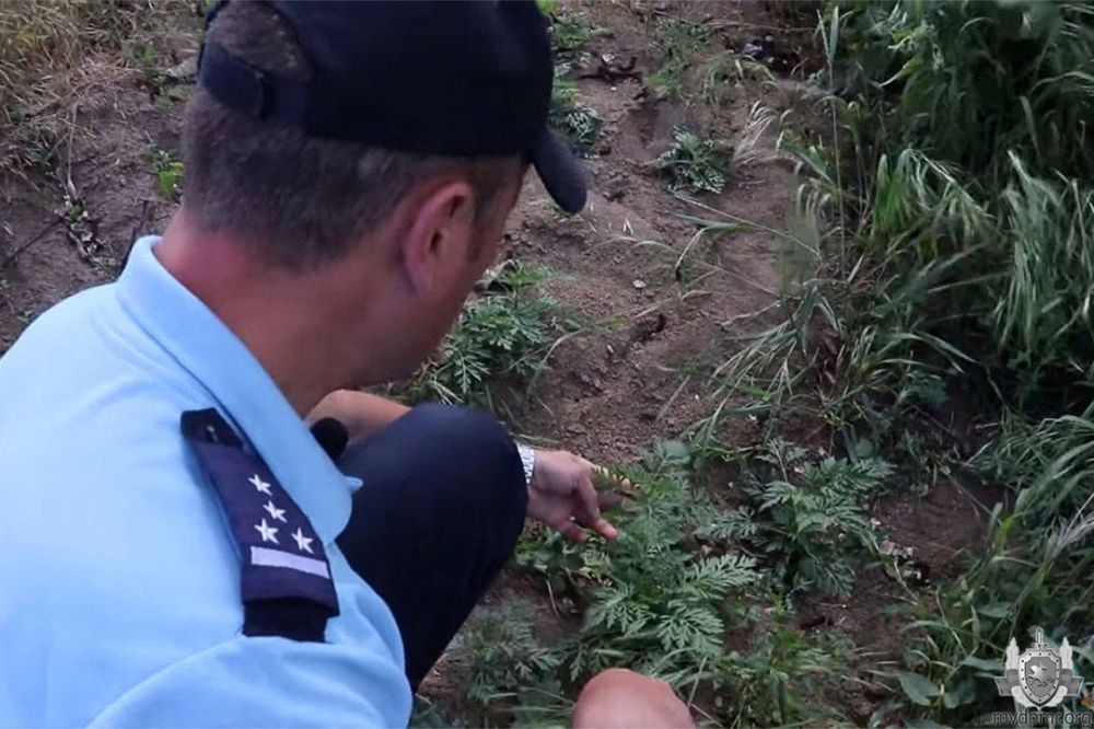 ��� ������ � ���������?. ����� 630 ��������� ������� ���������� ������� � ���� �������� ����������, ������� �������� ��� � ���. �� ��� ����� ������������� ������������ ���������� ��� ��� ������� ����� 300 ��������� �����������