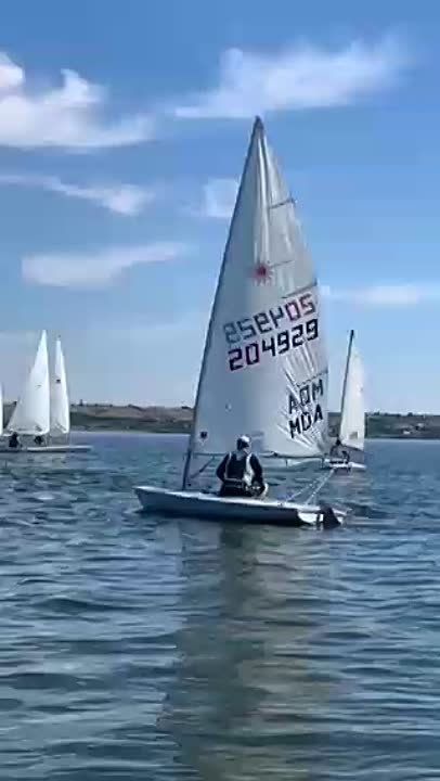 ��������������� �������� ������� ������������, ����������� ��� ����������