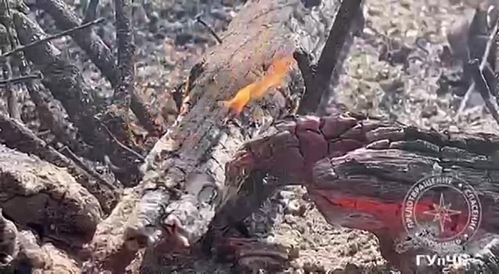 �������� ���������� � �������