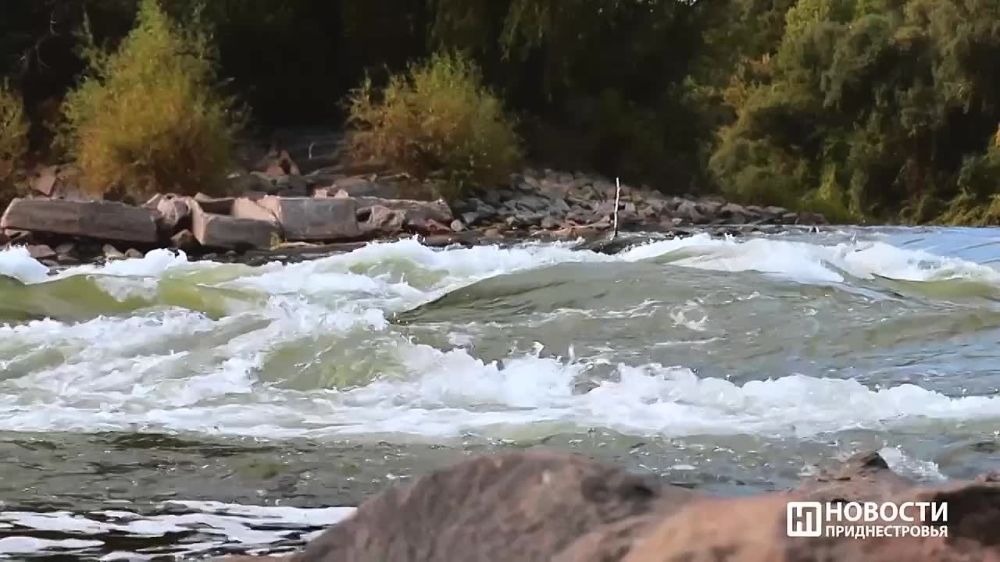 ��� ����� ���� ����������� �� �������� � ������