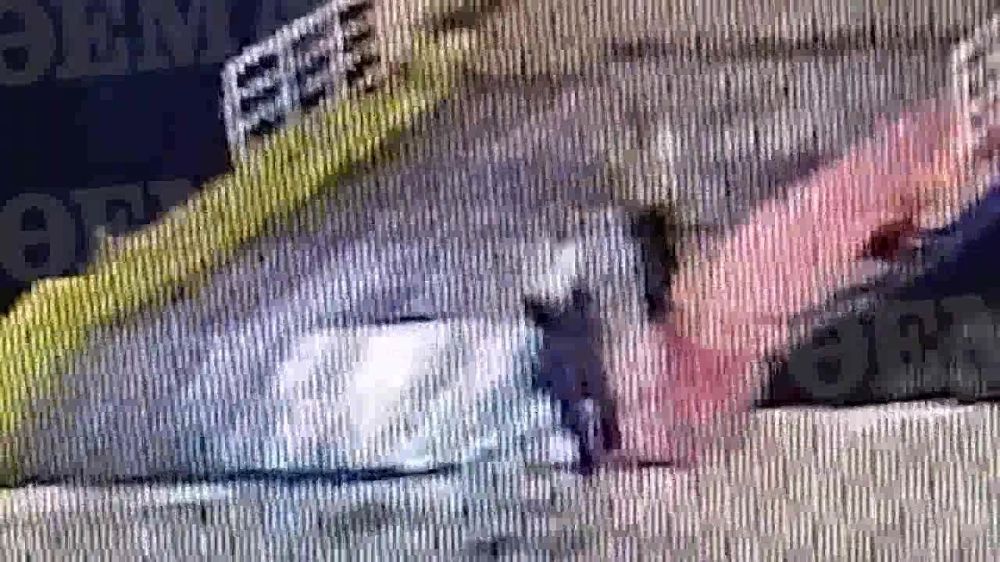 ������ ������ � ������ ������� ����������� ��������� � ���� ��� ����� �����