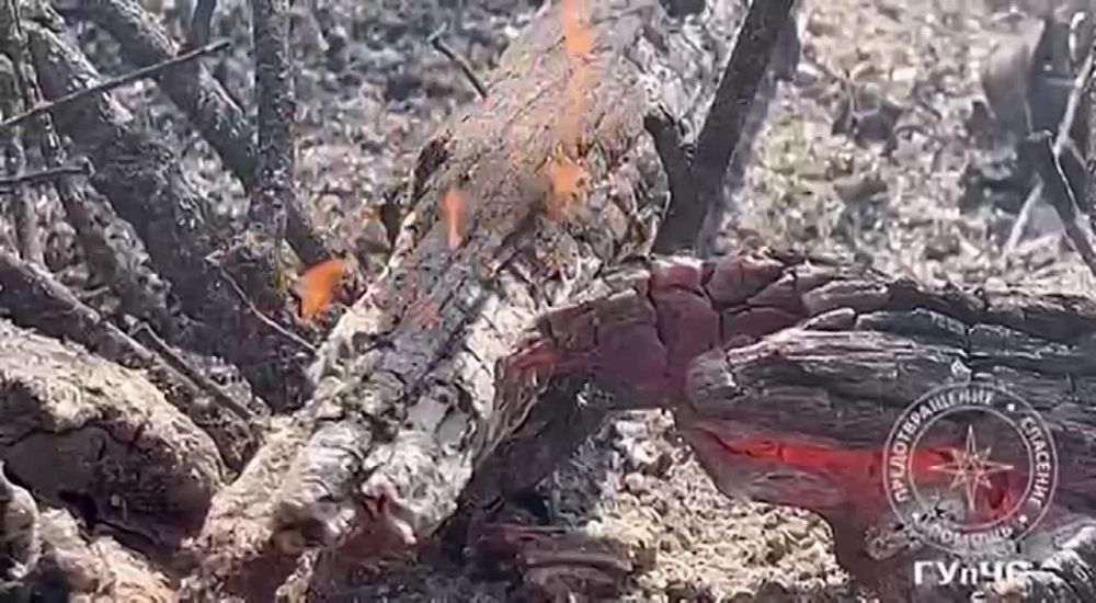 ������� � ��������� �� �������� ������� � ������ 14 ����� ������ ������� ����� ����� � �����