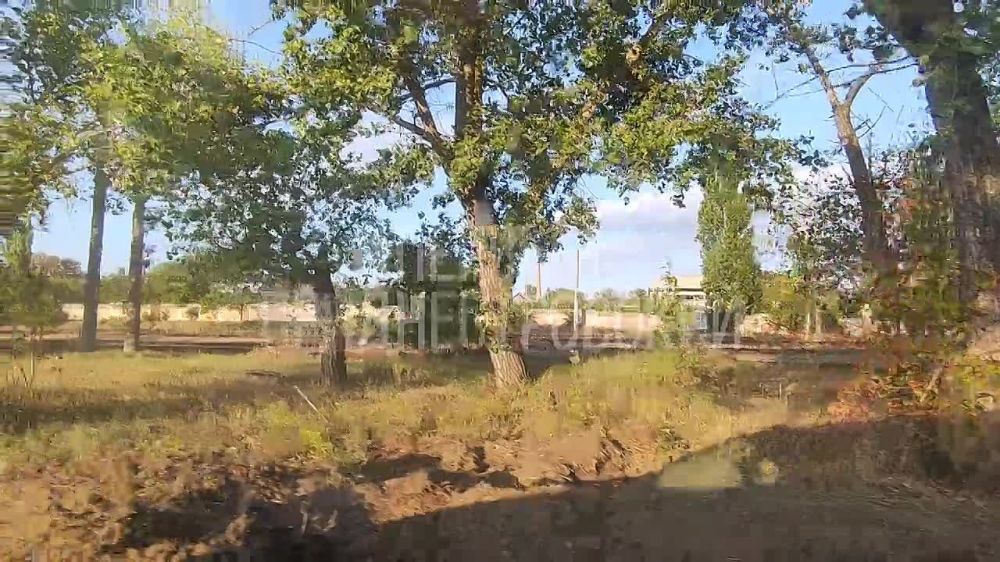 �������! ������ ���� ��� ������