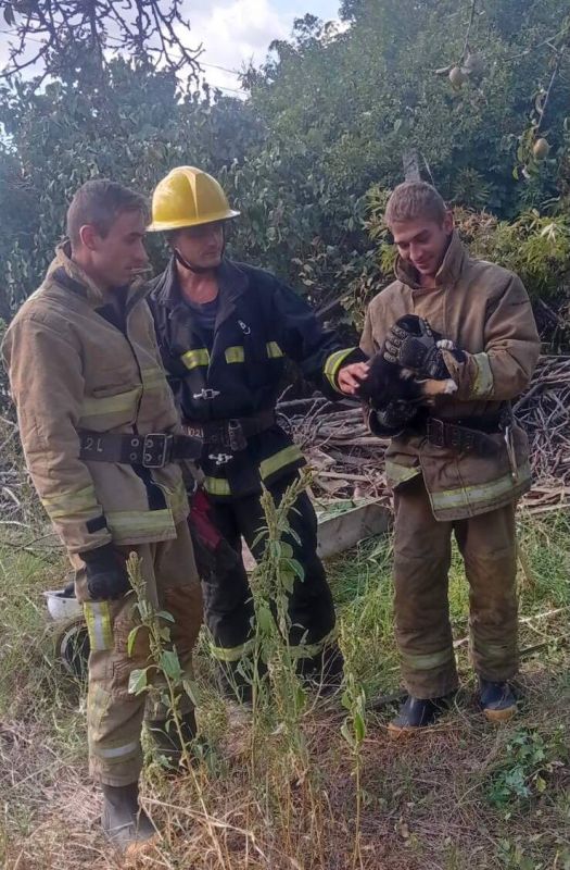 ����� �� ������ ������. ������� ���� "���������" ����� ����������� - ������ �� �����, ������� �������������� �� ������