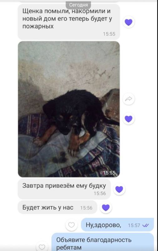 ������, �������� ����� �� ������ �������� � �����, �� � ���� ������