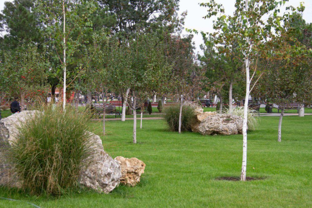 ��� ���� ������� �� ������������ ������� � �����, �����, �����������