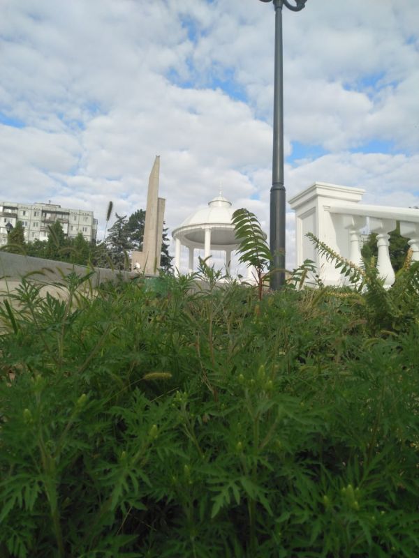 �������� �� ����� ���������� ������ ����� � ����� �������� � ����� ��������