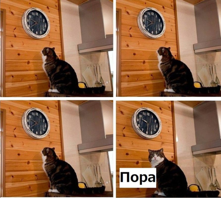 �� ����������� �������� ��. � ������ ������ � ��� ���� �����-�� ������� � ��� �� ��������������