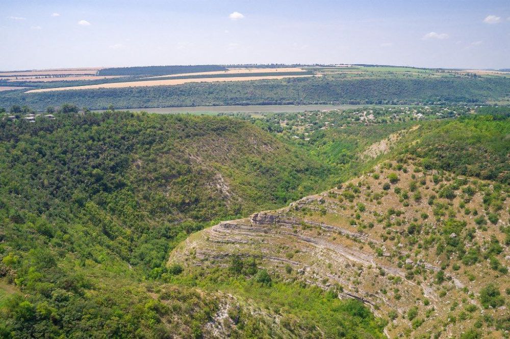 � ������������� �������� ����� ������������� ������� � �������� ������������ ��������