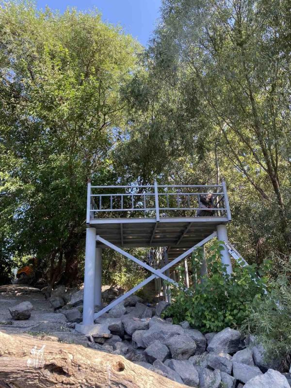 � ��� ��� �� ��������� ��������