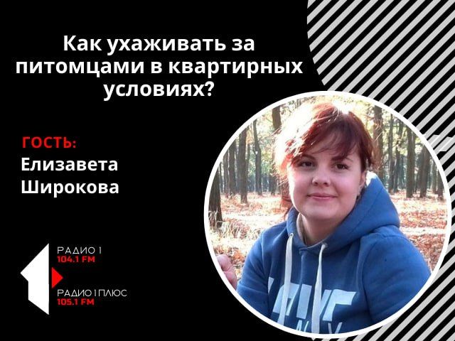 ��� ��������� �� ��������� � ���������� ��������?