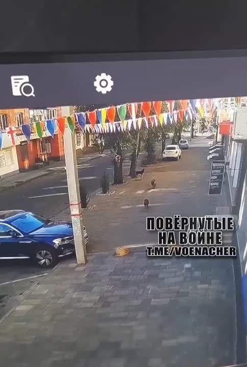 ����� ��������� ����� �� ���������� ������ ������� � ������ ����