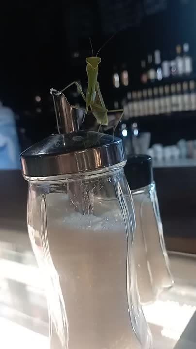 � ������� �� ����� �������� ����� ���������