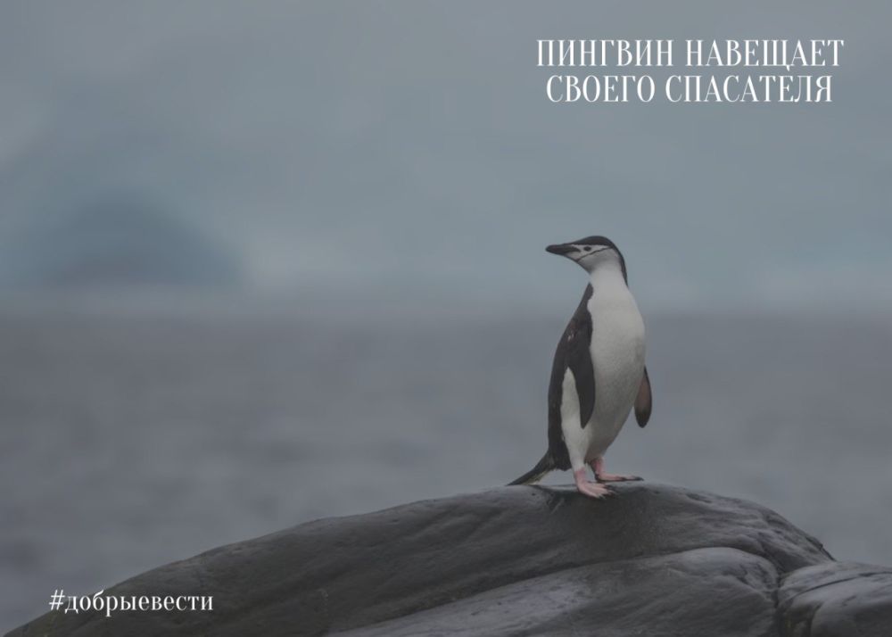 ������� ������ ��� ������������ � ������ ���������