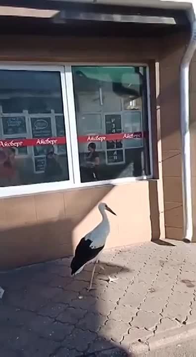 ���������� ����� � ����� ������� � ������ ������ ���������� ����