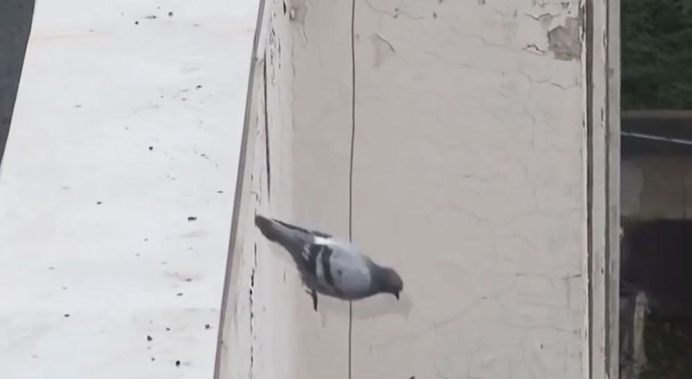 10 �������� � ��������� ���� �������������� �����������