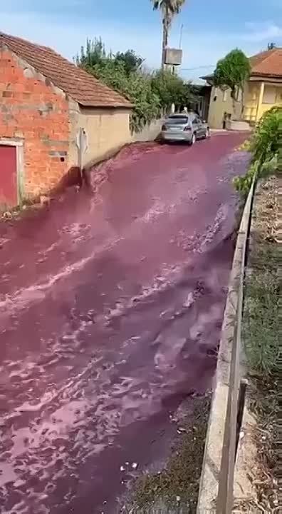 ����������� ������ ���. ������ �������� ������� ��������� ������� 15-� ����� ������� ������